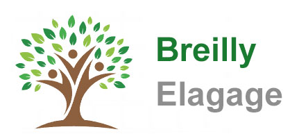Breilly Elagage
